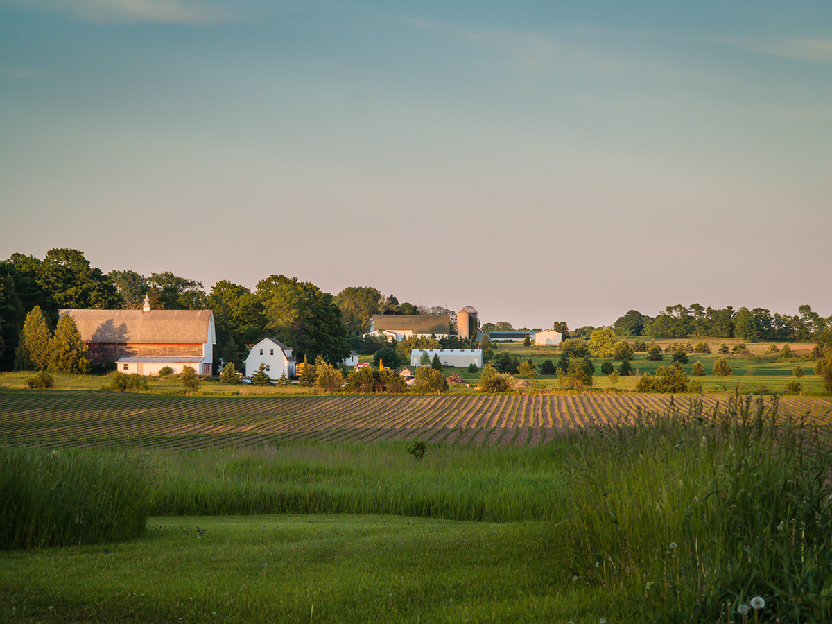 Adobe Portfolio Door County Wisconsin barns fields Farmhouses landscapes pastoral farms summer bucolic