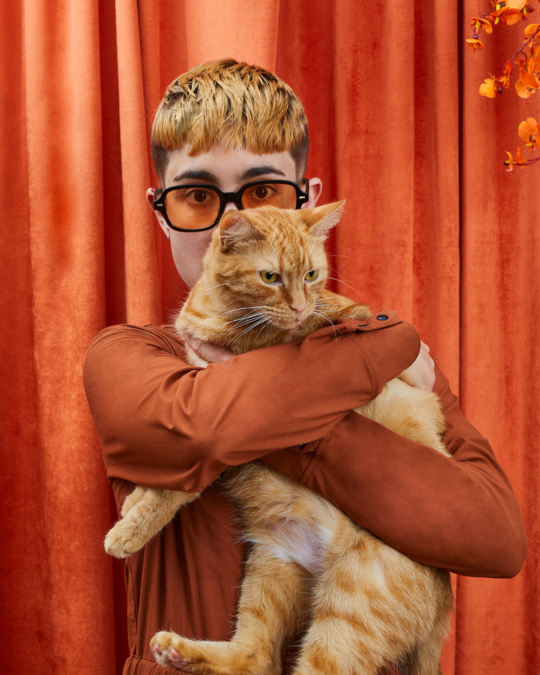 animals Cat Chat color monochrome nyc orange Photography  portrait velvet