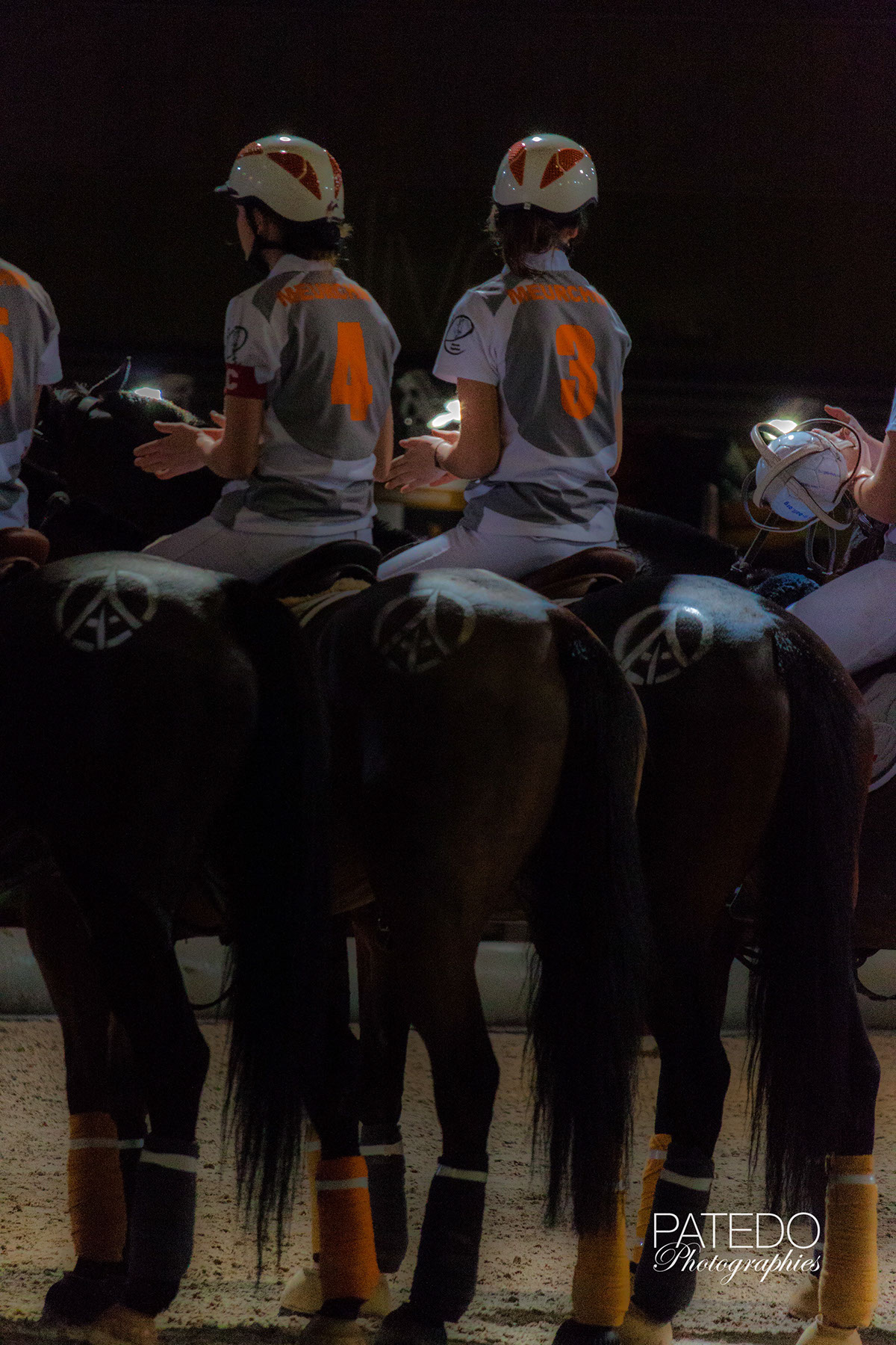 Horse-Ball equitation riding Salon cheval de Pari Villepinte