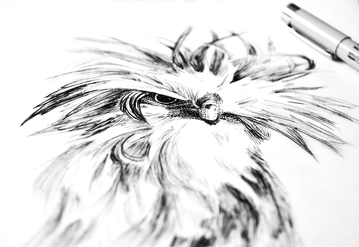 poczytne bird animal ink dots horse evil inkart black White paper wildlife Nature