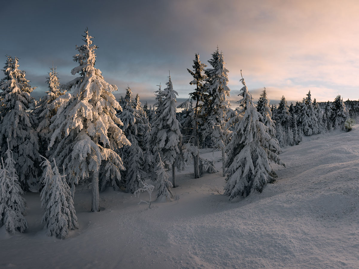Landscape ore mountains germany winter sunset snow