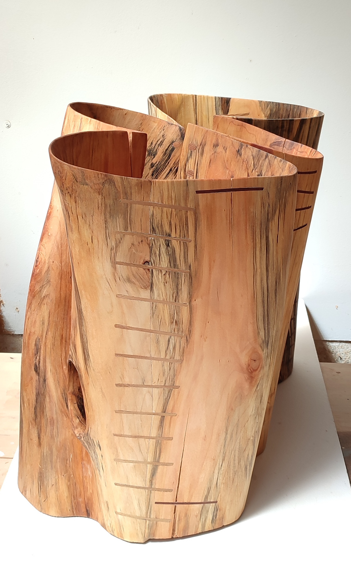 contemporary art escultura Fusta  madera sculpting  sculpture talla wood woodcarving woodworking