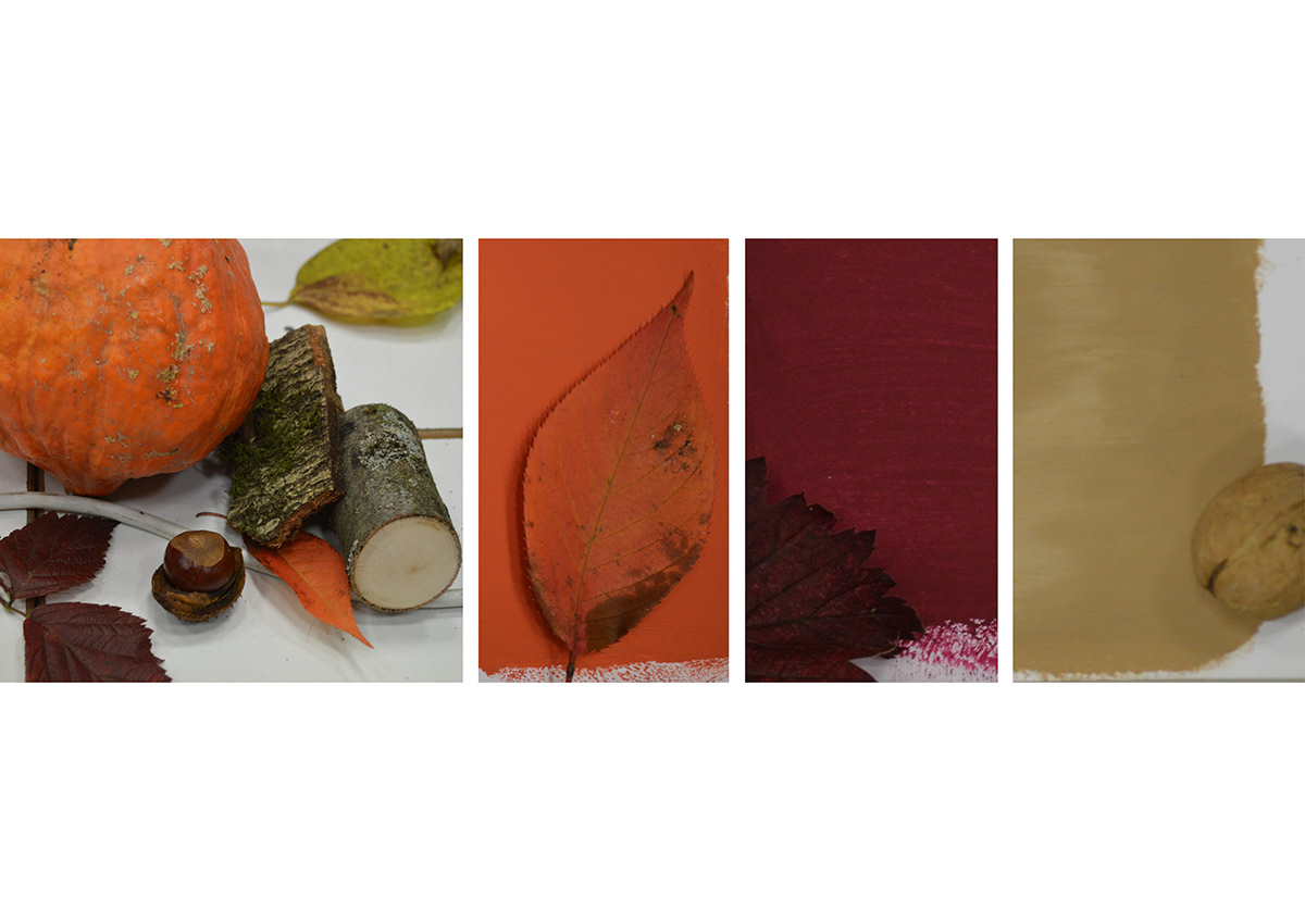 nuancier automn samples automne couleurs complémentaires