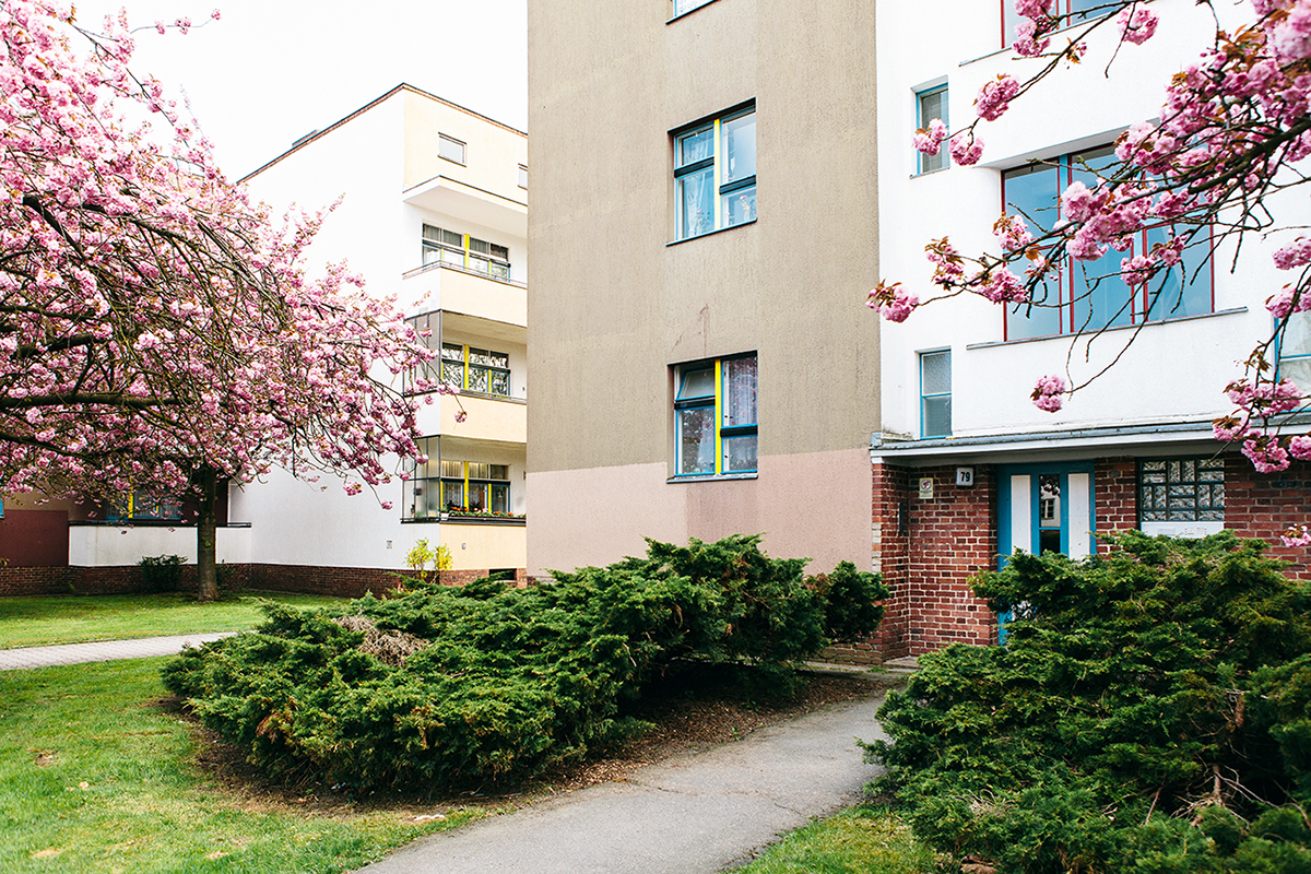 bruno taut berlin modernism housing estate color colour