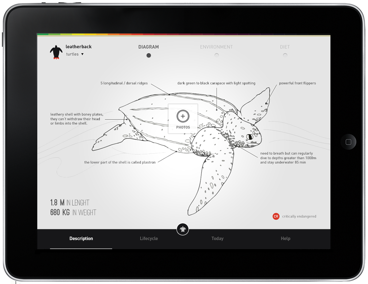interaction concept UI ux Interface minimalist flat design WWF graphics information user interface iPad app application