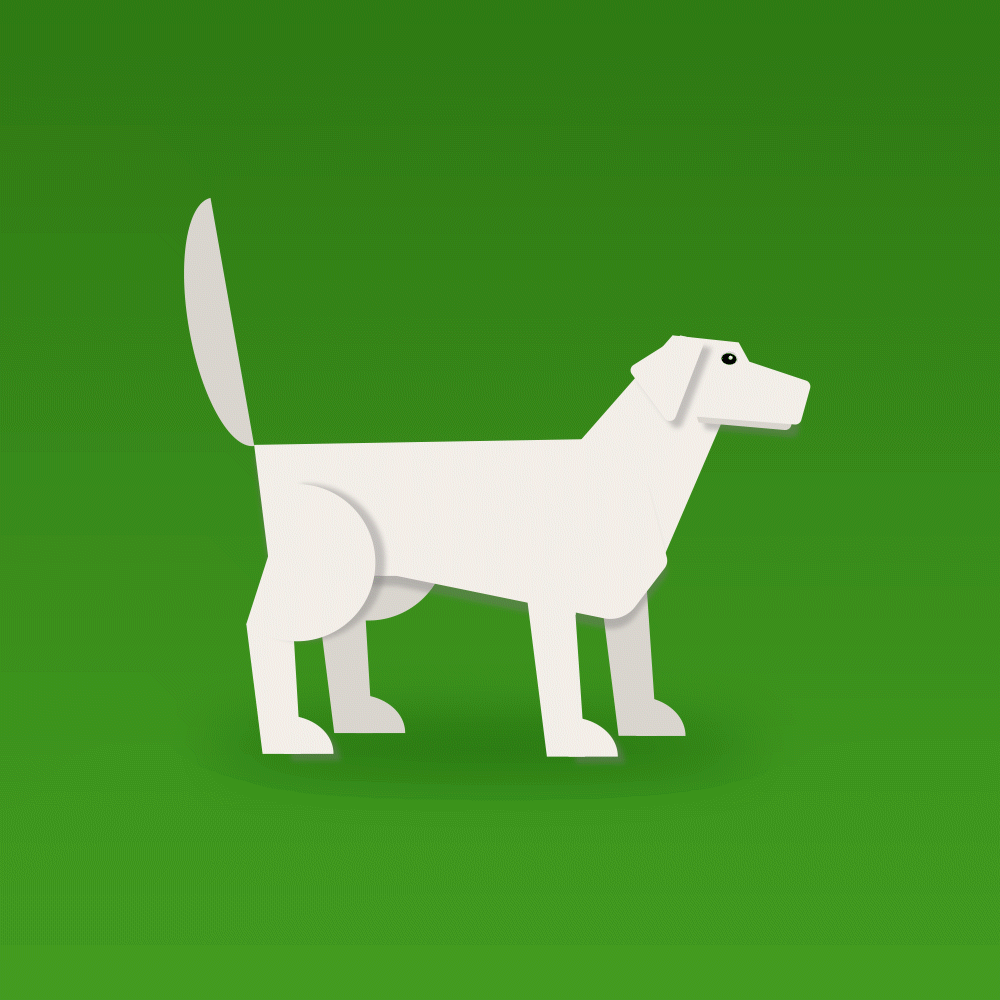 Animation - Wag More, Bark Less on Behance