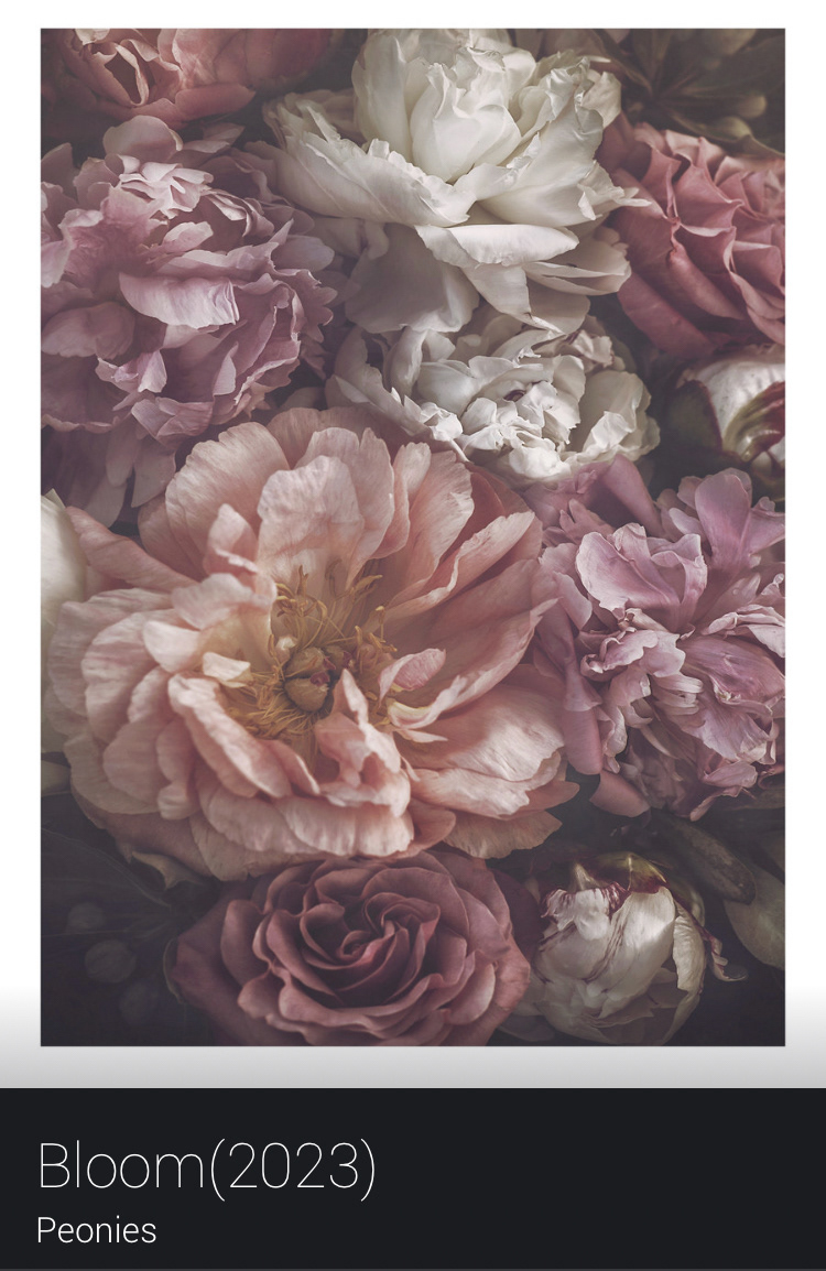 botanical color FINEART floral gallery peony wallart