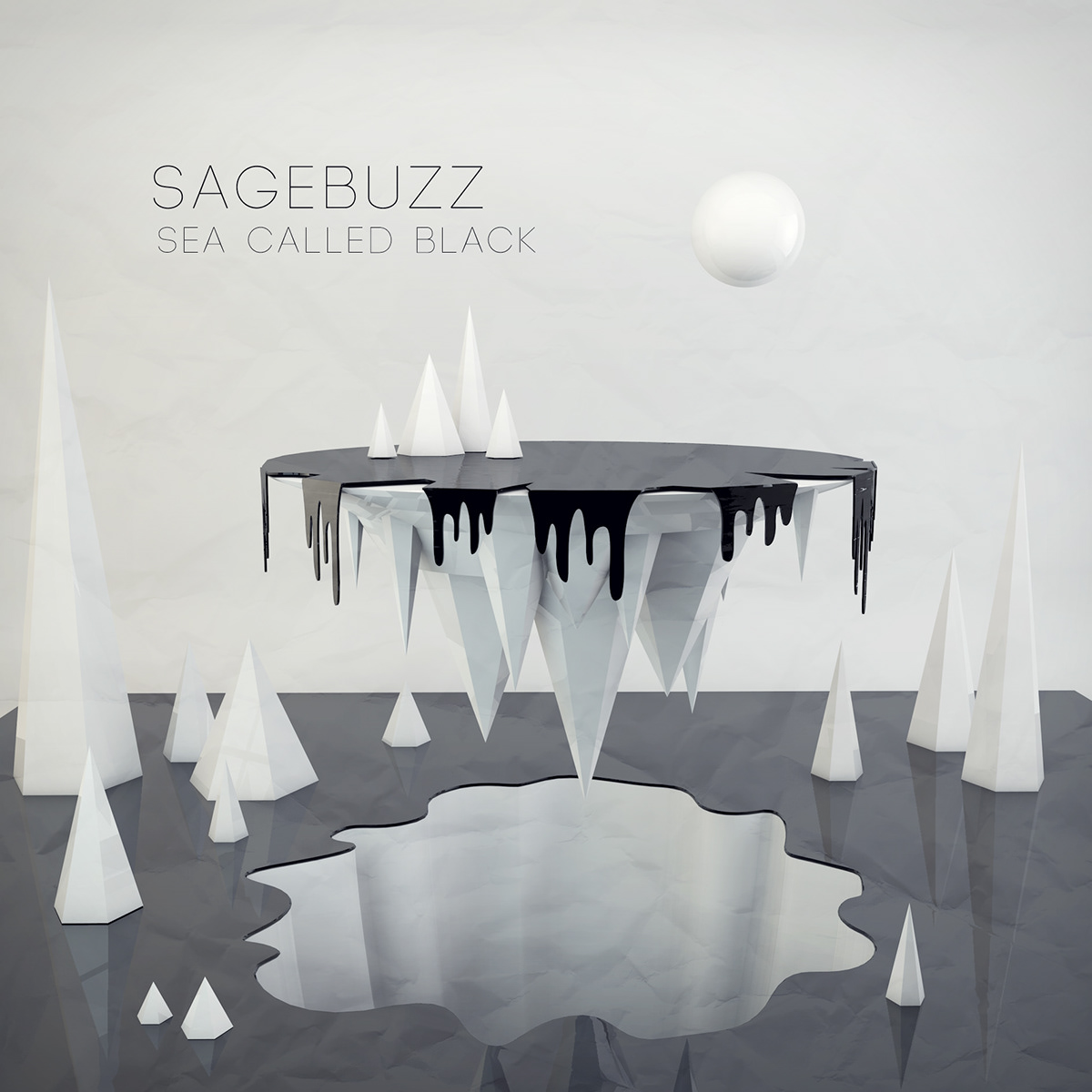 sagebuzz  CD cover cover grunge rock