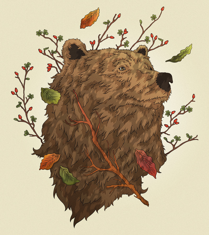 animal wolf bear forest concept composition digital coloring portrait Nature mixed warm environment