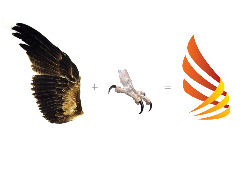 race team Kuwait guyvars falcon logo identity car uniform brochure wings fire metal arabic Arabic logo