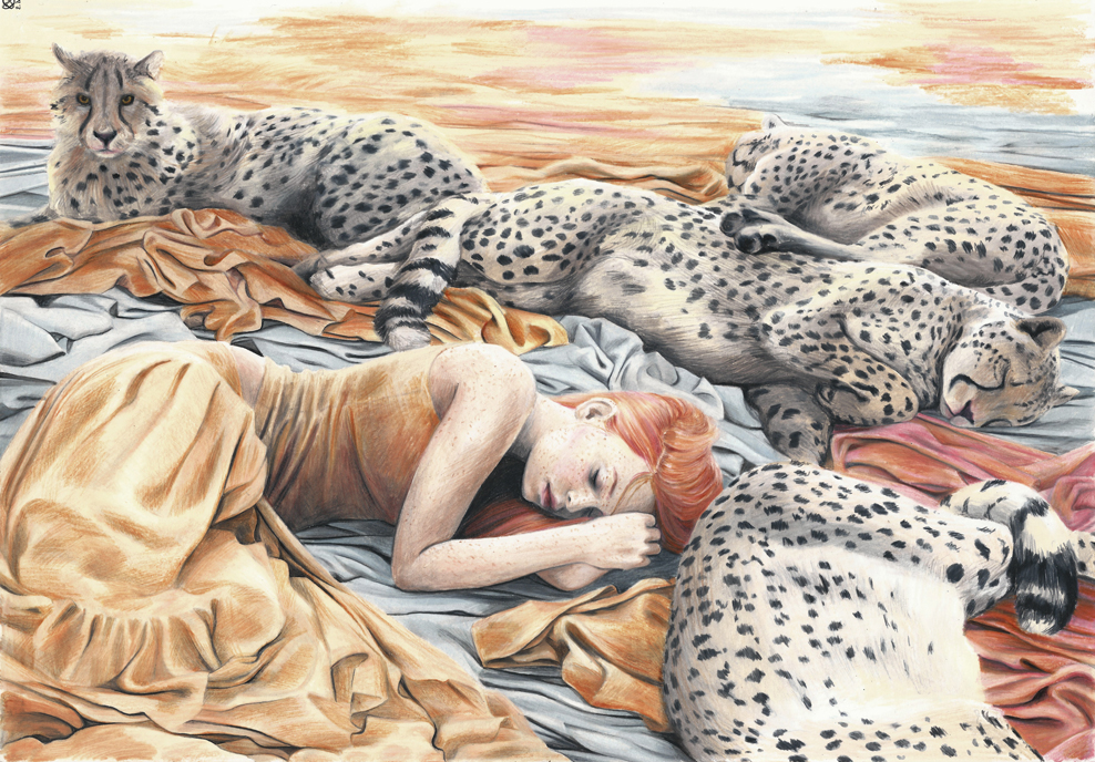 cheetah sleeping Dreaming animals girl red orange Cheetahs cloths dream sleep Pack