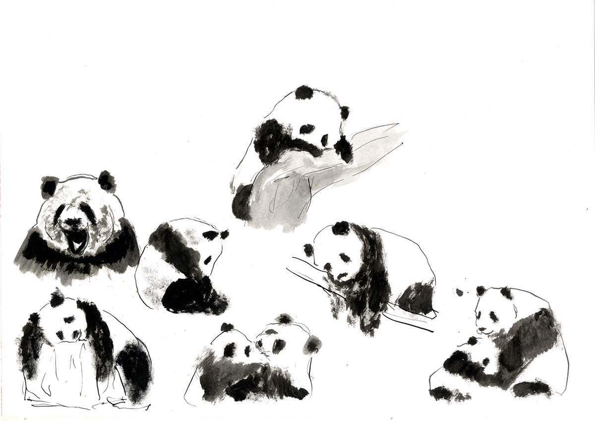 Panda  aquarelle water color ink dry brush book wallpaper