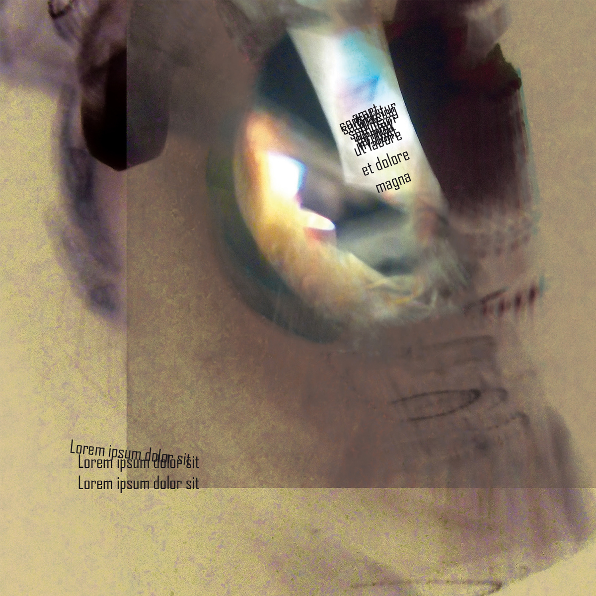coverart coverdesign cover identity branding  musicians artists ILLUSTRATION  Booklet