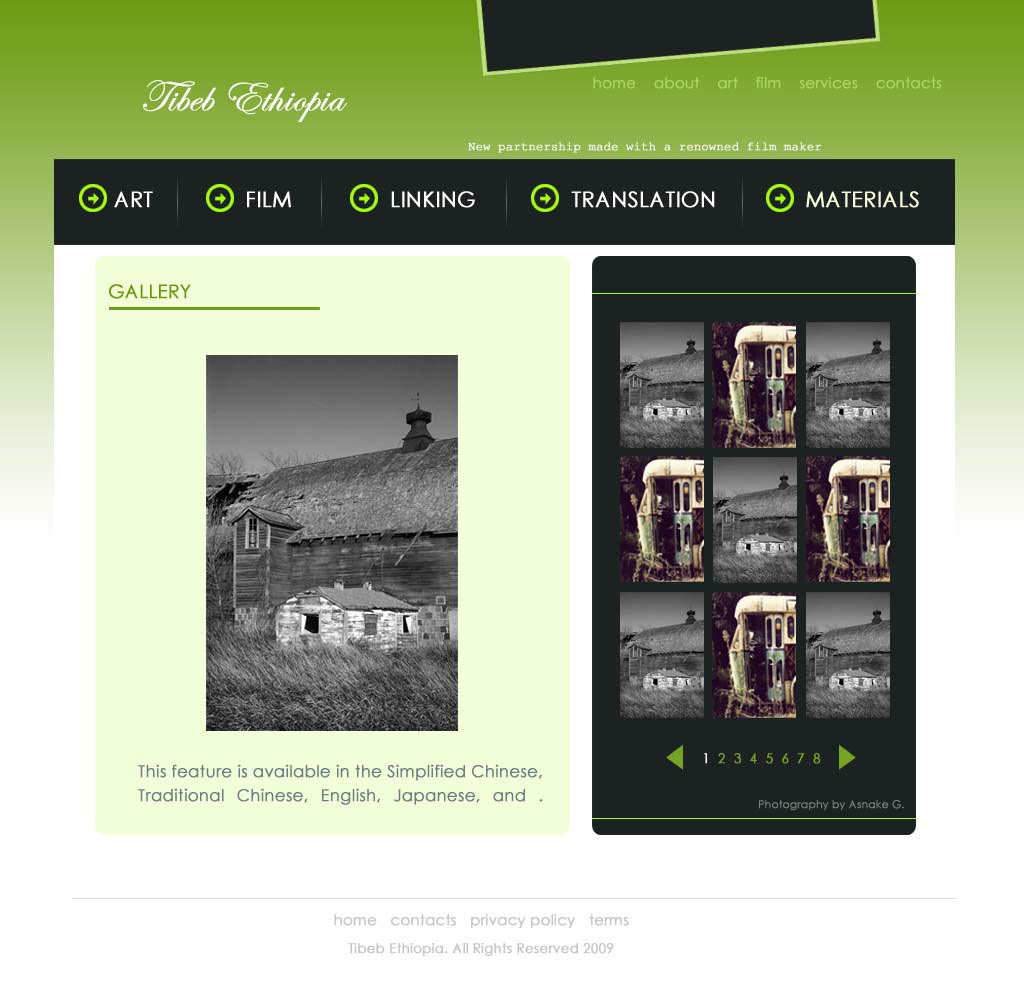 Website Design for sale Asnake ethiopia