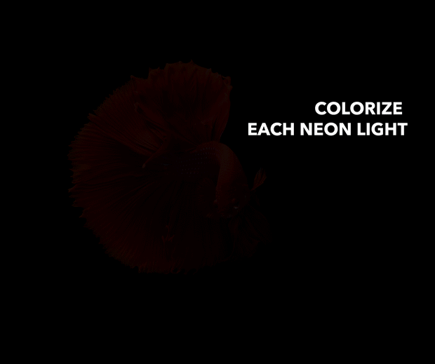 Gif Animated Neon Light Photoshop Action on Behance