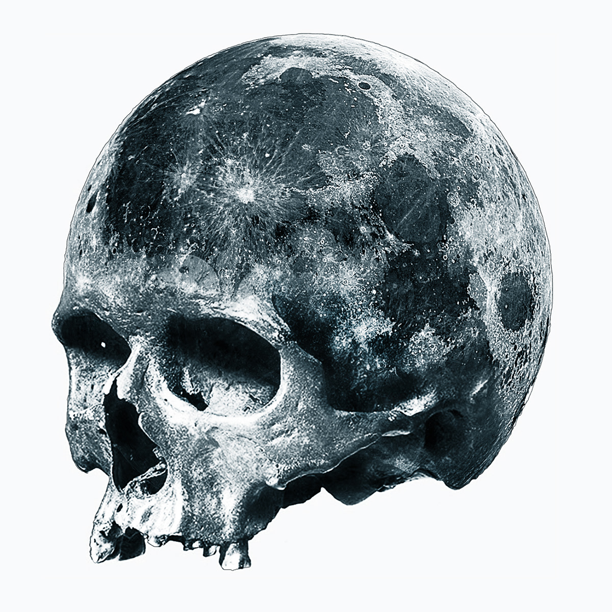 art tattoo skull moon
