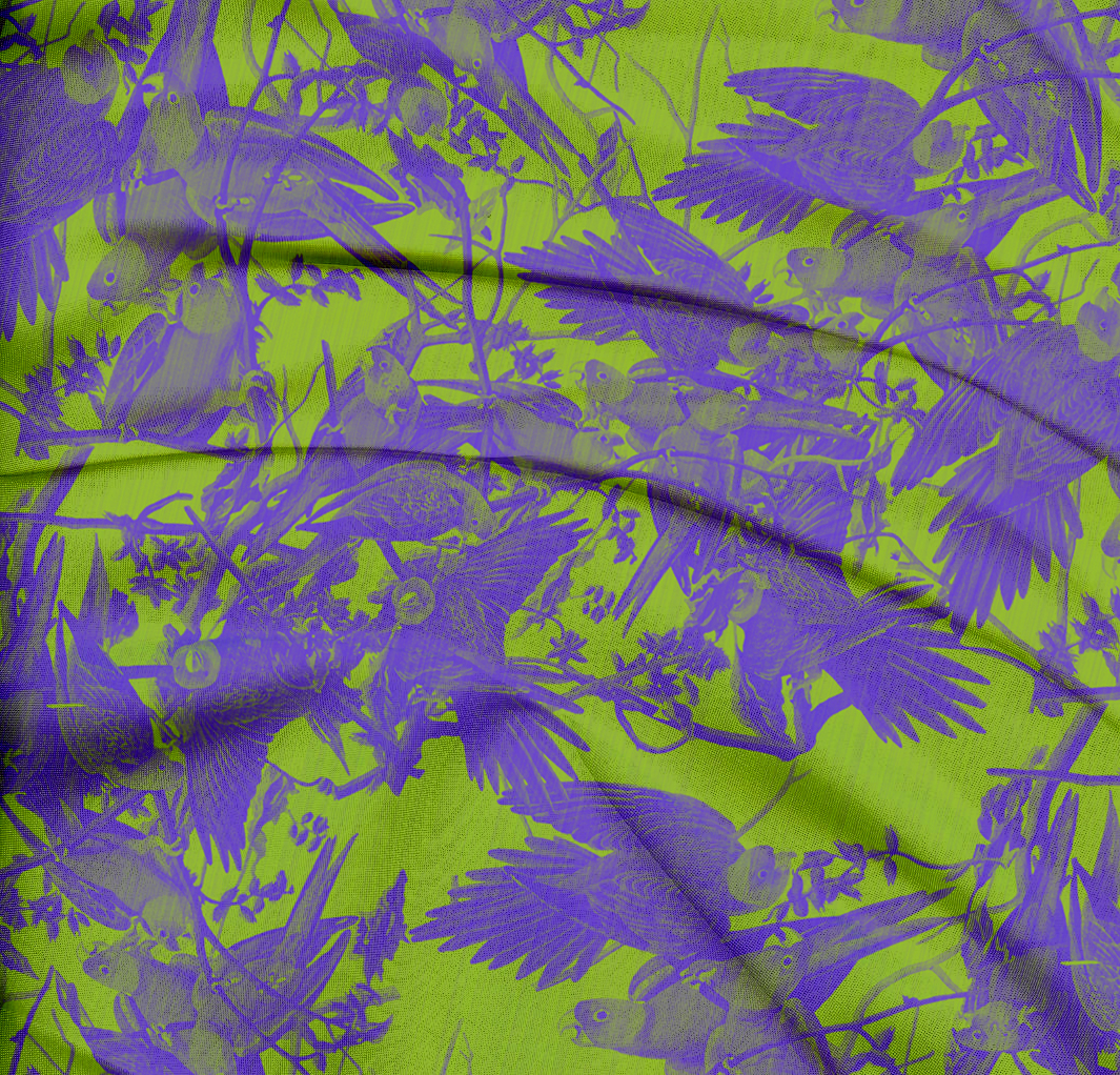 birds Patterns budgie green purple pink blue mint