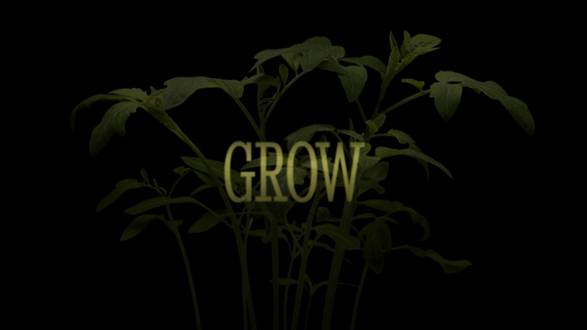 after effects grow Plant Time Lapse ayn rand atlas shrugged