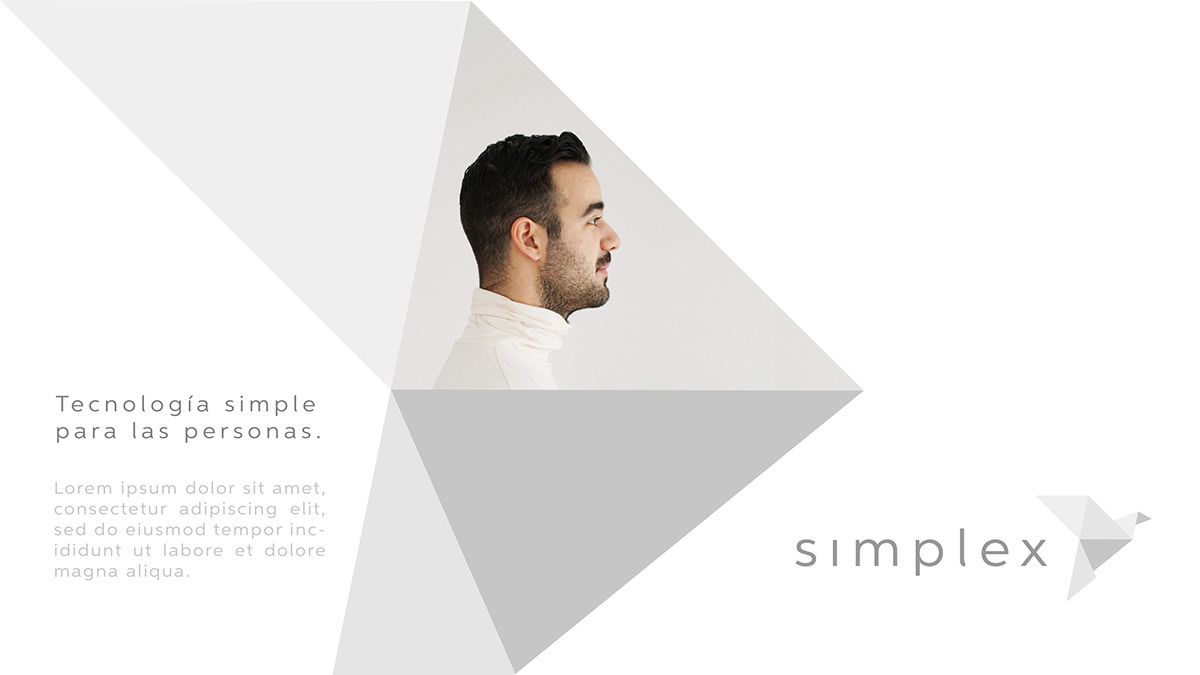 branding  identity Logotype motion origami  simplex
