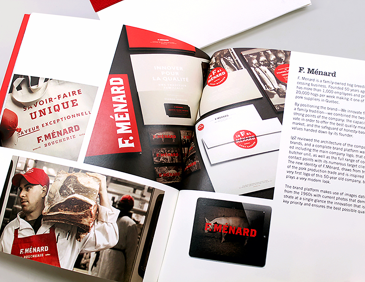 publication design promotional book print