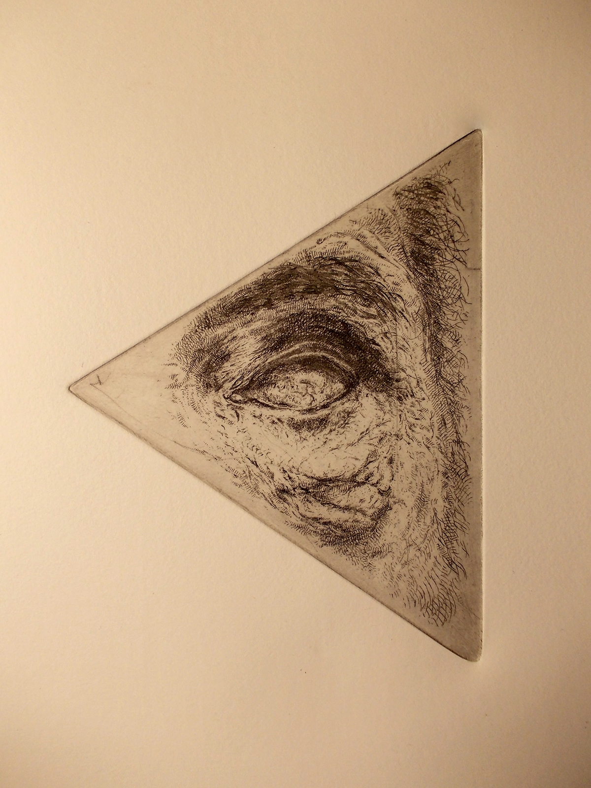 etching aquatint aquaforte eye blind black and white triangle geometric bird Tree  scream starling