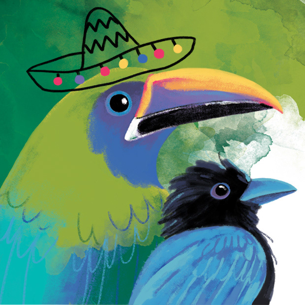 birds Tropical ILLUSTRATION  childrenbook jungle mexico parrot hummingbird travelbook Travel