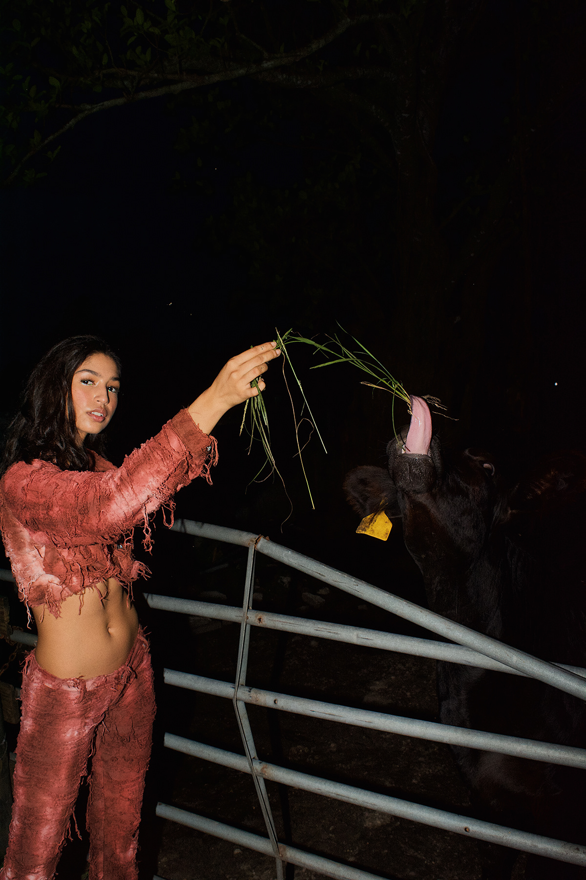 cows farm Fashion  Flash Frida Kahlo Night Shoot Outdoor street style