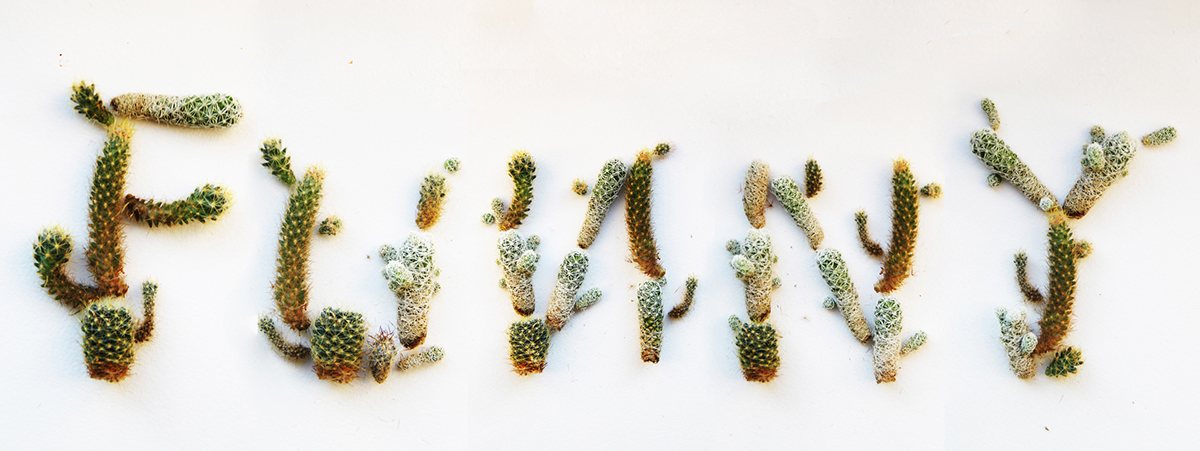 handmade font fonts leaves  water  cookies  people   fire  banana  Cactus  grape  EHU  white  grain  Parrot  font words  bead  Colorful  bright  paper  photo   collage letters  alphabet  typography  funny  autumn