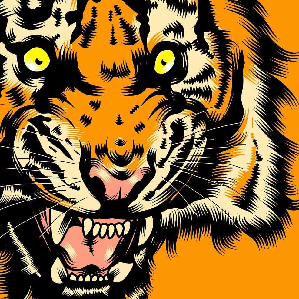 Illustrator Vector Illustration vector design tiger ILLUSTRATION  graphic design  poster music brushes