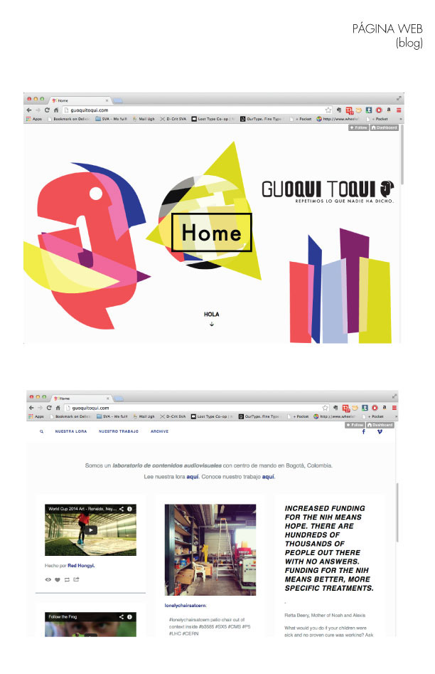 bird parrot loro bogota producción audiovisual colombia branding  colorful typography   editorial