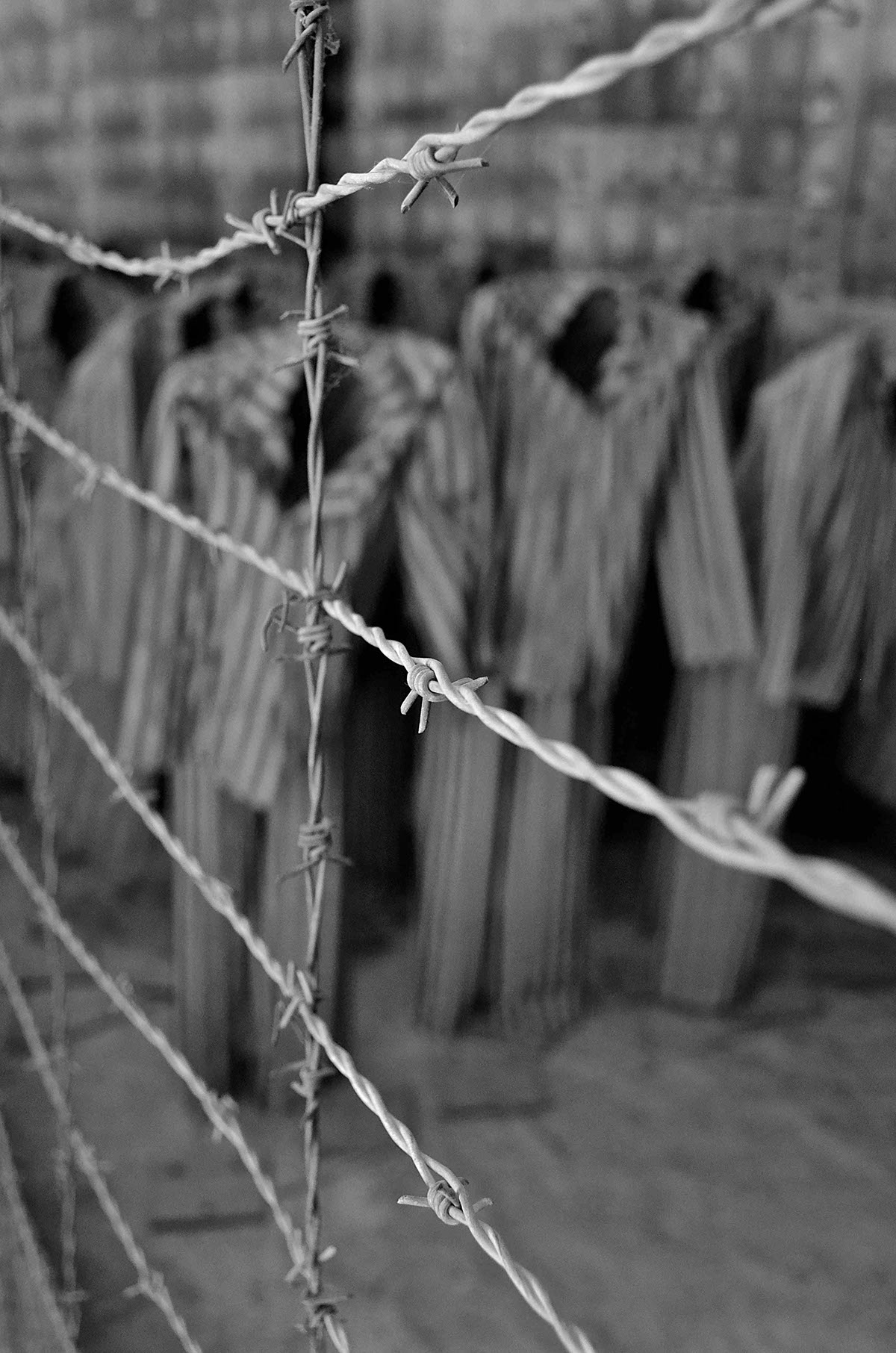 history black and white auschwitz holocaust gay roma Political Prisoners