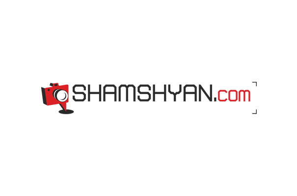Shamshyan.com   Boro   News Armenia Web Design   graphic design Logo Design