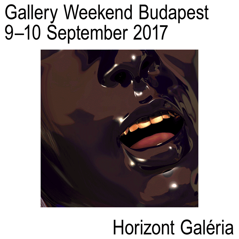 galleries gallery budapest gallery weekend art contemporary festival gymbag reflective motiongraphics