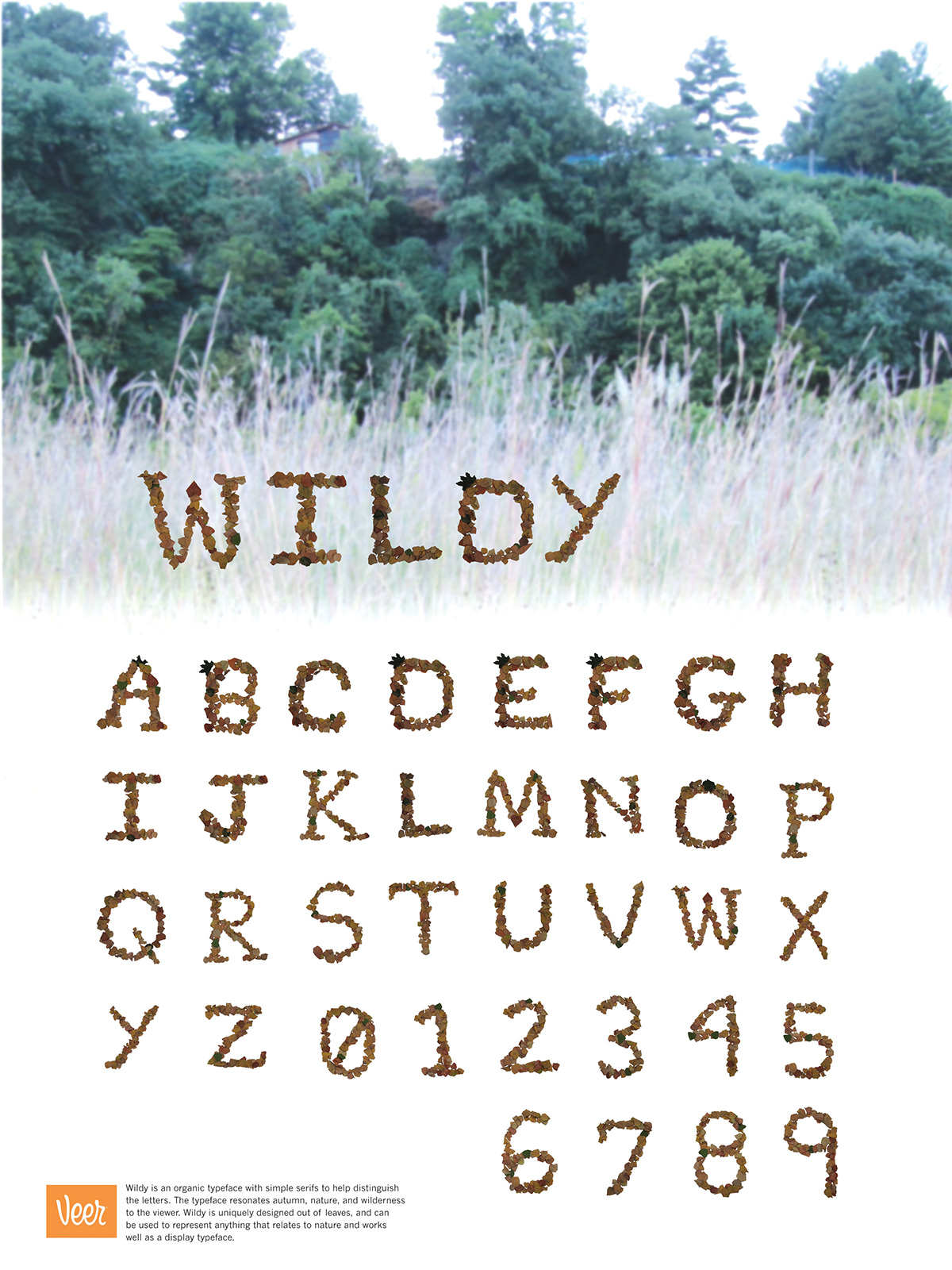 Nature wilderness Wildy Typeface