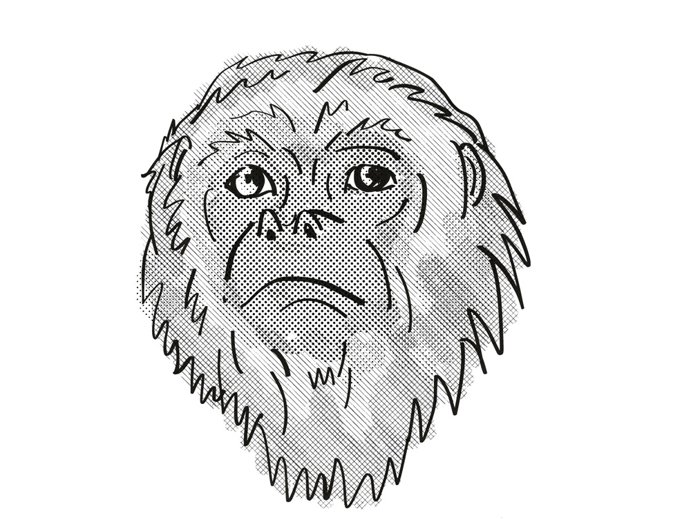 Retro cartoon Drawing  Yucatan Black Howler monkey monkey new world monkey old Simian