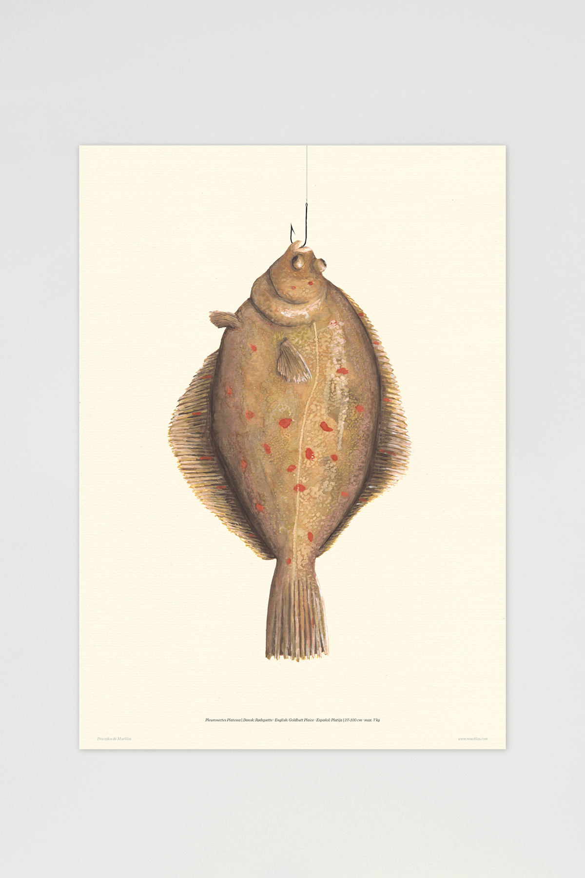 fisk fish fishies watercolor