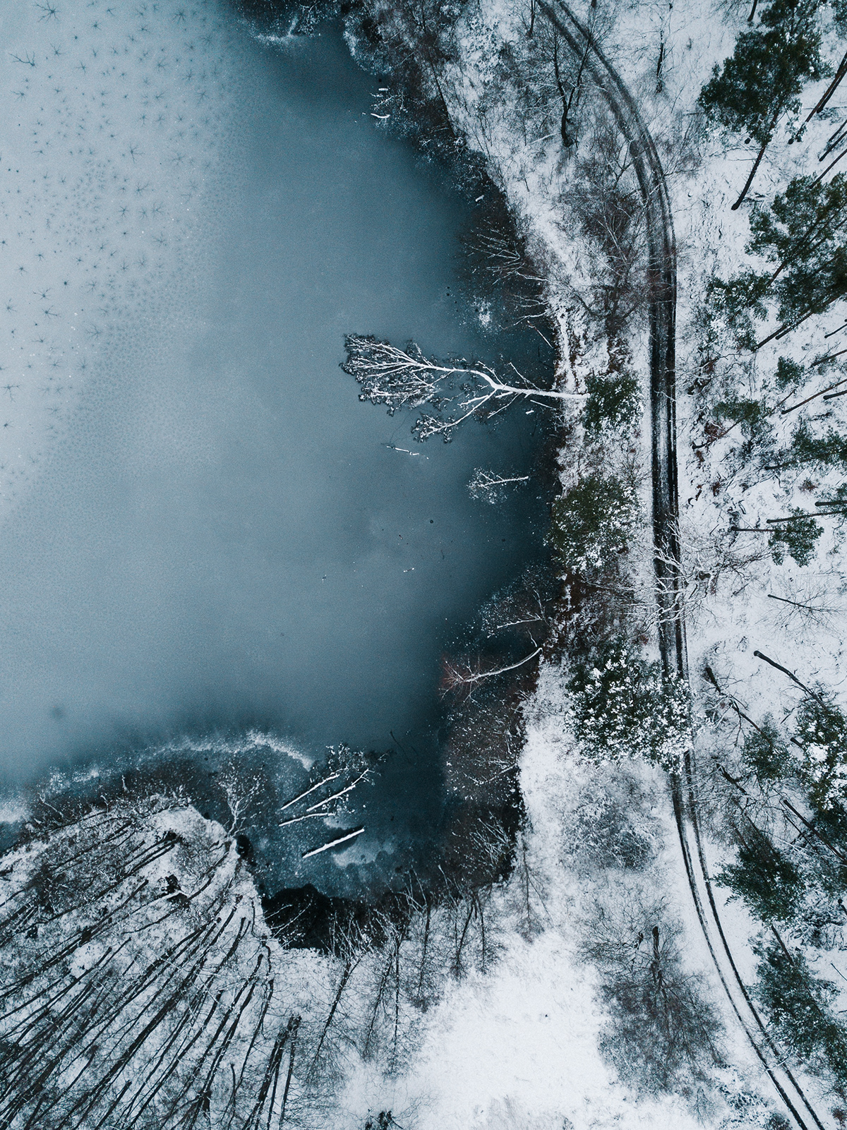 frozen lake from above withe a lying tree trunk in winter