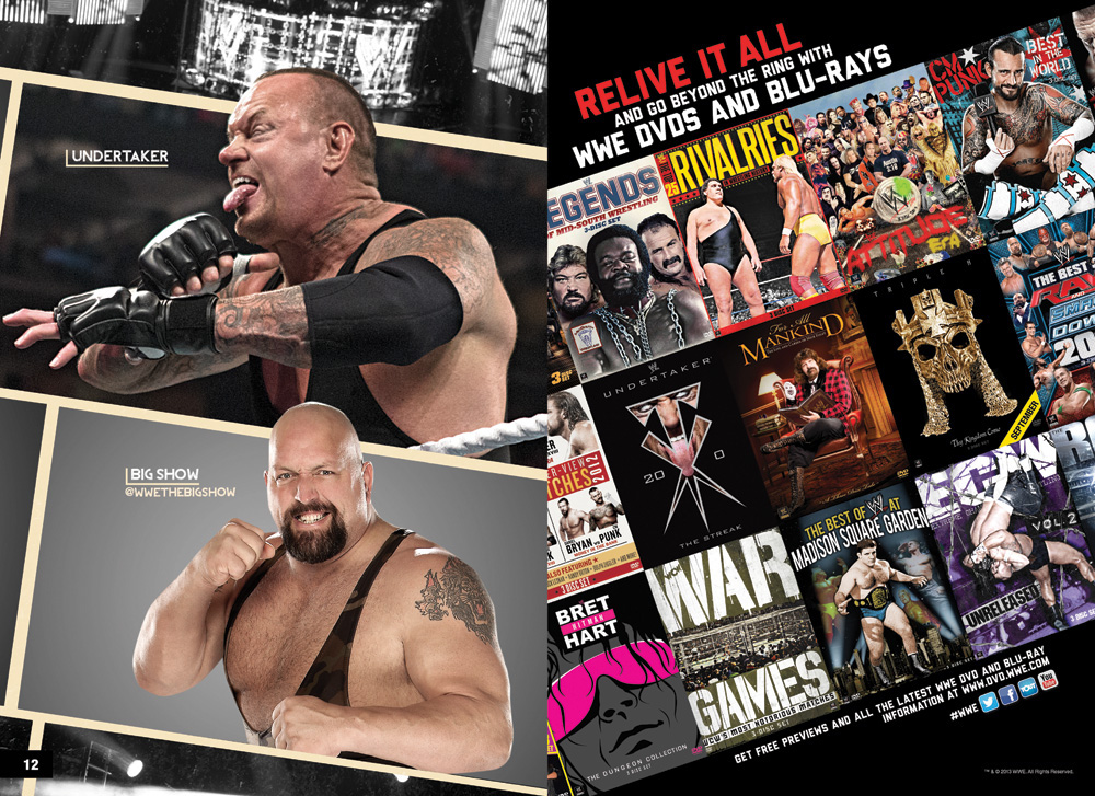 WWE  Venue Program  program WWE Venue Program WWE Program  WWE Book  art direction  Creative Direction  graphic design  print design  product design  publishing  layout  editorial