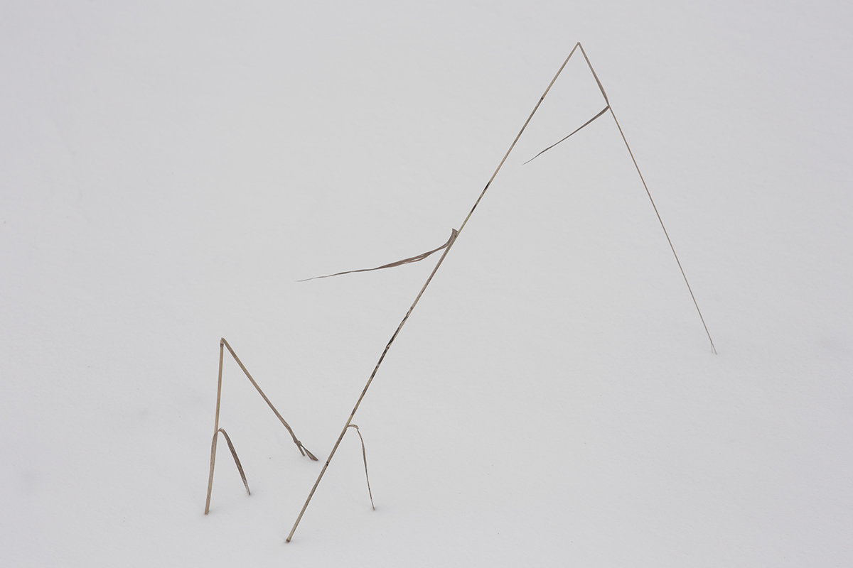 lietuva lithuania Mindaugas Buivydas minimal Minimalism winter abstract