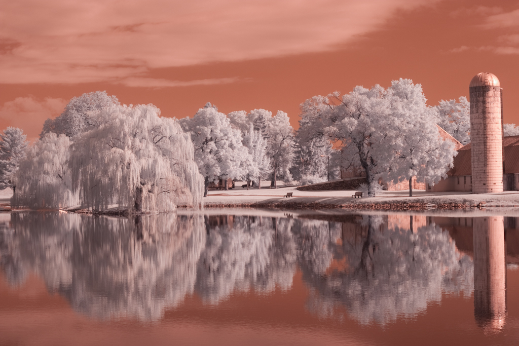 infrared Canon 20D converted