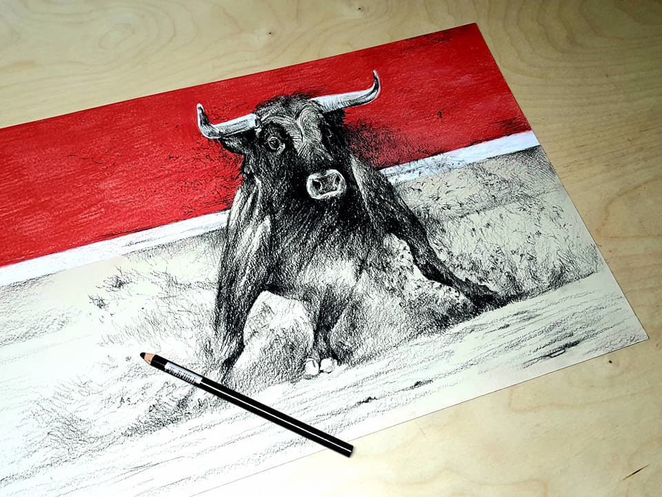 animal art bull coloredpencil crayon dessin draw Drawing  PierreNoire Taureau