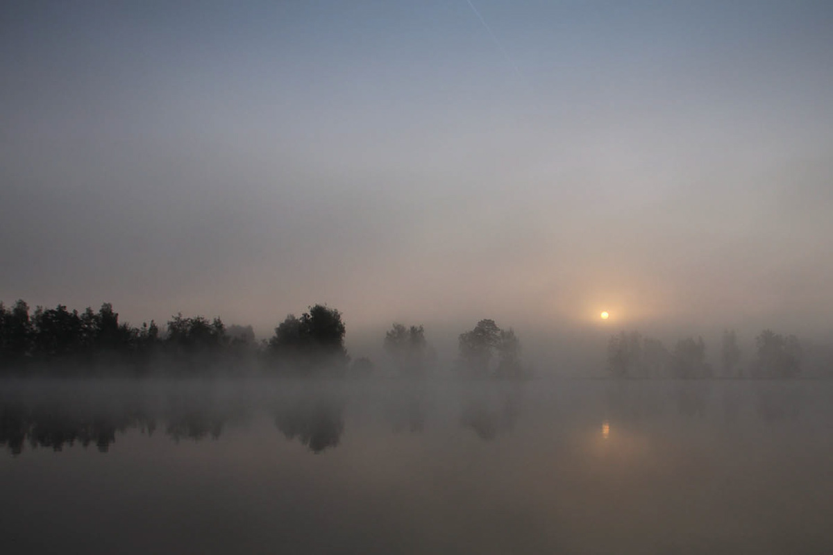 Sunrise fog mist ponds Steinwald