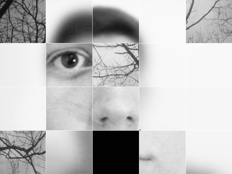 animated gif self portrait sva face trees grid