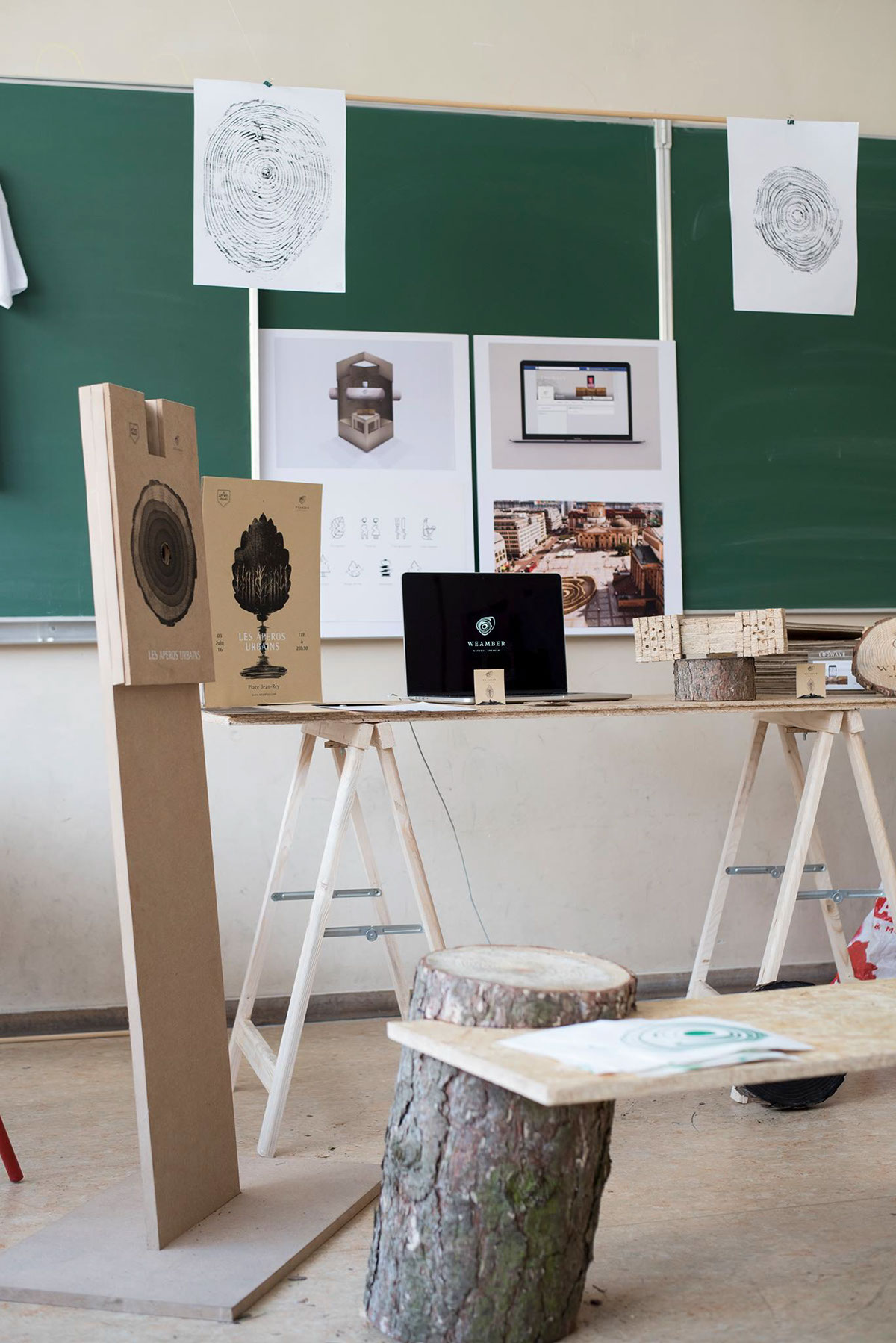 ecological speaker Baffle   Audio natural woodprint wood brand design