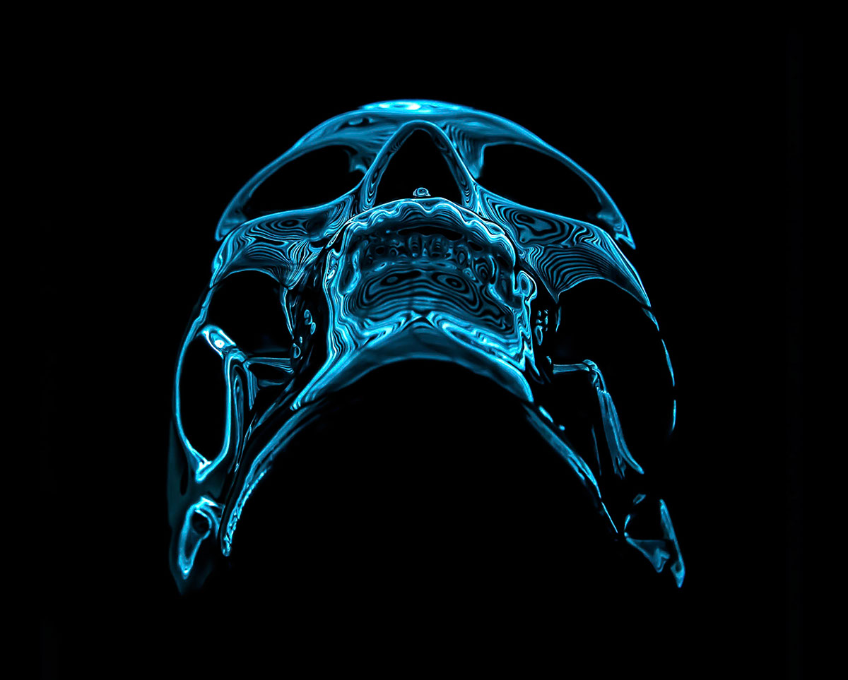skulls graphic motion Form human electric neon design long exposure art still-life camera linear vivid