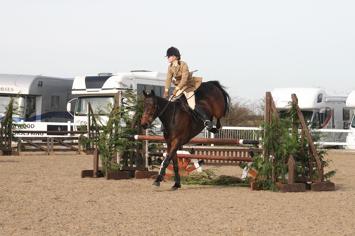 horse equestrian riding arena uk showing BSPS