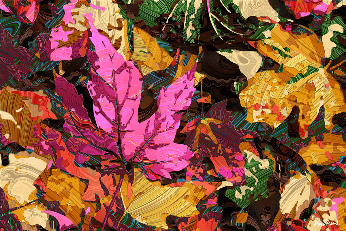 autumn Fall leaves colorful