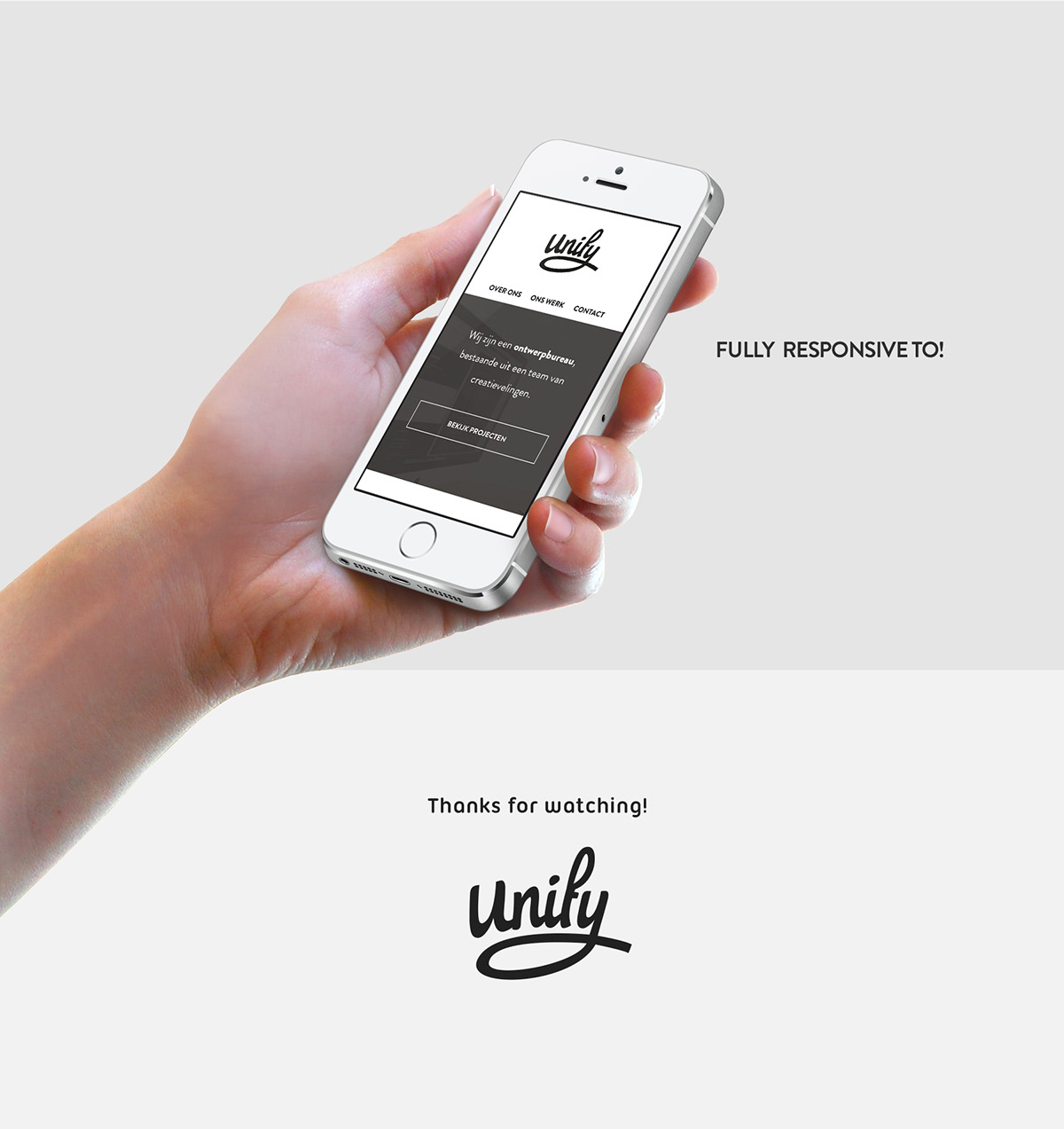 Webdesign UI ux identity Responsive Website dutch