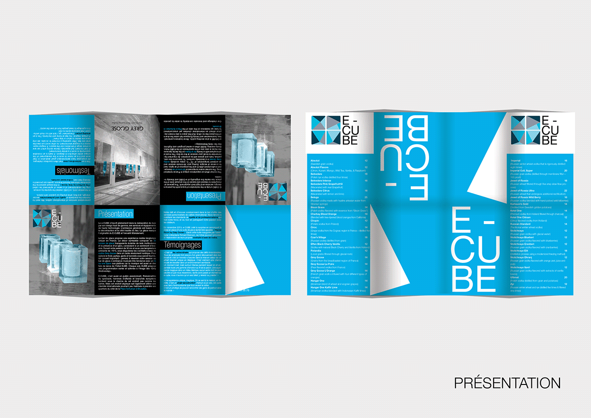 e-cube   brand identity logo corporate design graphic presentation menu brochure