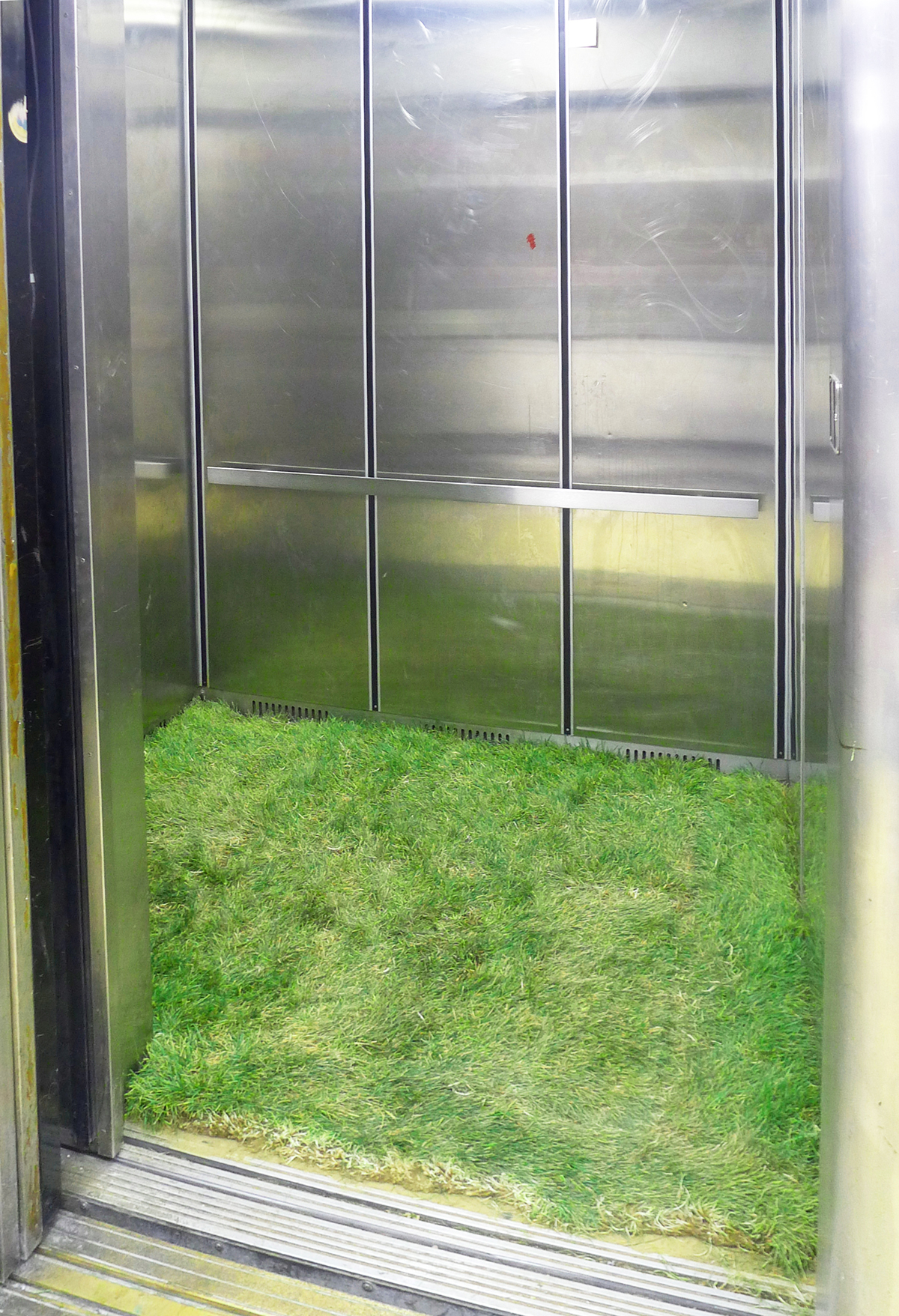 installation elevator grass turf